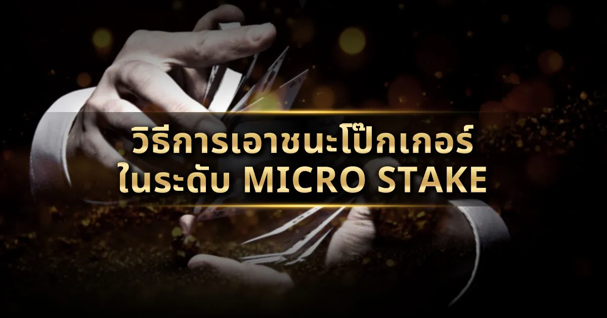 micro-stake-2024-10-24