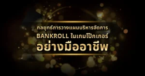 bankroll-management-2024-11-12