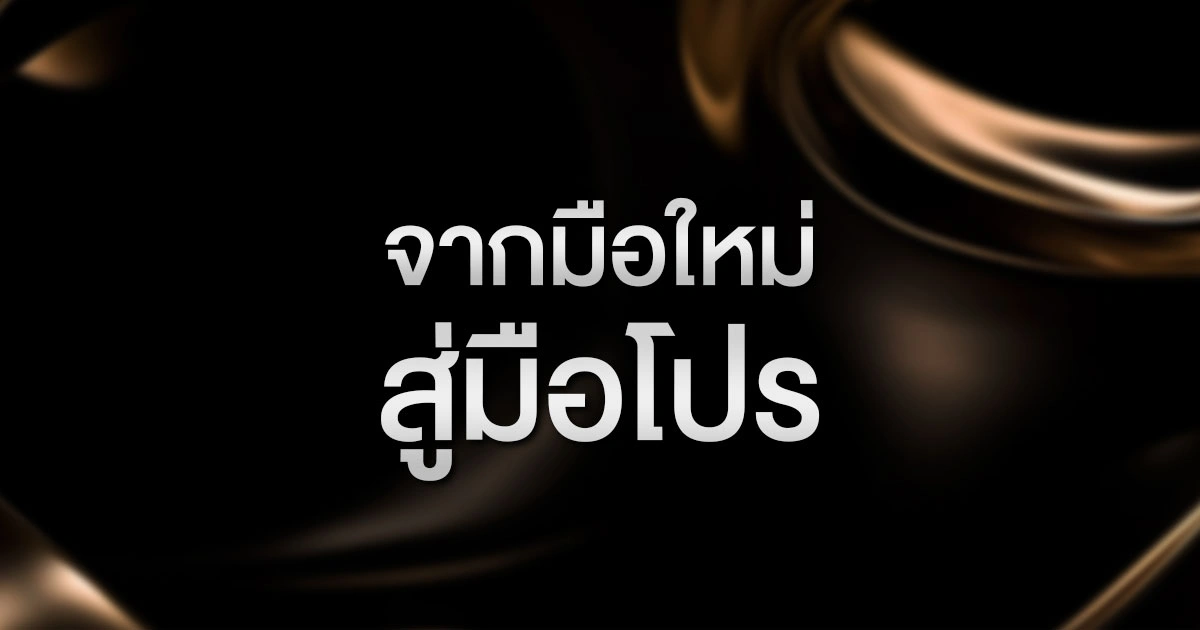 จากมือใหม่สู่มือโปร: 5 ขั้นตอนลัด ฝึก poker วิธีเล่น ให้ทำเงินได้จริงในปี 2026